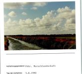 25938 W2270 Wyk auf Föhr FOTO KEINE AK Foto montiert auf Karton