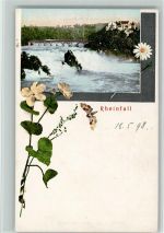 Schaffhausen Sciaffusa Rheinfall Zierblumen Wasserfall 1898