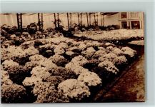 Gand Gent Gentsche Floralien 1933 AK Gartenbauausstellung