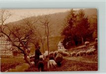 Hirte mit seiner Schafherde AK Schaf 1928
