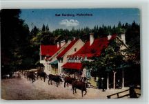 W3388 Bad Harzburg Hotel Pension Molkenhaus Kühe Kuh
