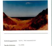 Dünen Foto montiert auf Karton Natur FOTO KEINE AK