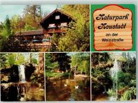 67433 W6730 Neustadt an der Weinstraße - Naturpark Wasserfall Enten