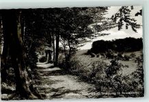 49401 W2845 Damme , Dümmer - Waldweg im Besaddetal Rückseite mit Abschürfungen bzw Kleberesten
