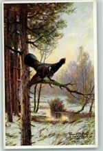 Auerhahn sign. Freitag Vogel Künstlerkarte