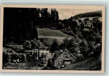 Bad Reinerz Duszniki Zdroj - Eingang ins Kohlauer Tal