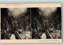 um 1900 , Bayr. Hochland, Verlag Voß Nr. 915 AK Stereobild