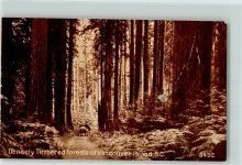 Nr. 3492 Densley Timber Forsts of Vancouver Island