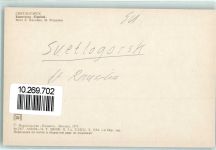 Rauschen Swetlogorsk - Kino Priboj
