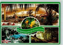 Lommel - Center Parcs Bungalowpark De Vossemeren Papageien