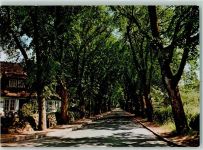 25980 W2280 Keitum - Allee