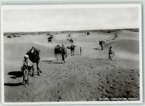 Foto AK Volkstypen - Karawane nel Deserto AK