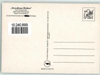 49401 W2845 Hüde - Strandhaus Widdau