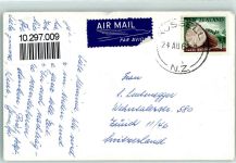 Northland 1961 - Kauri Forest - Giganten Bäume AK