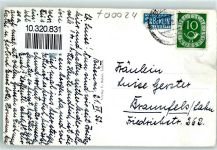 Junger Seehund AK Robbe 1952 Foto AK