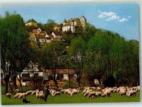 91349 W8551 Egloffstein - Schafe Burg