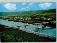 54492 W5553 Lösnich - Mosel Weinreben