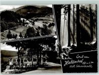 79691 W7861 Neuenweg - Gasthaus Haldenhof Belchen Waldweg Eichhörnchen