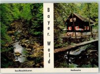 94065 W8392 Waldkirchen , Niederbay - Saussbachklamm Halleralm