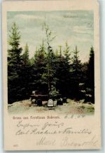 21789 W2177 Dobrock 1904 Gebrauchsspuren Forsthaus Kaisereiche Lithographie