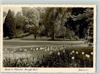 79539 W7850 Lörrach Foto AK Fotograf Gutermann Rosenfels-Park
