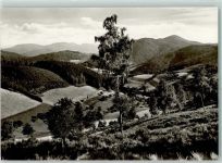 79215 W7807 Oberprechtal - Gasthaus Landwassereck