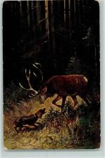 sign. Müller jun. Hirsch und Jagdhund AK Jagdhund Künstlerkarte
