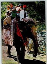 Jaipur Elefant ride at Amber Palace Touristen Volkstypen / Brauchtum Indien