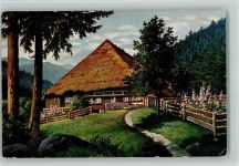 Im Hochschwarzwald , Elchlepp Nr. 5 AK Schwarzwaldhaus Lederle Künstlerkarte
