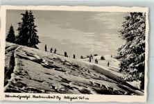 87466 W8967 Oy - Winter Skifahrer