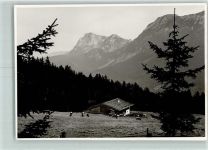 83727 W8163 Bäckeralm Foto AK Rinderweide