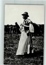 Pferdehirt - 1936 gute Erhaltung Trachten Ungarn Foto AK