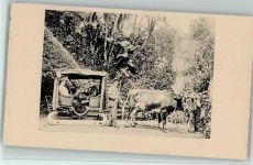 Madaira - Tiergespann mit Schlitten ca 1906 , gute Erhaltung Schlitten