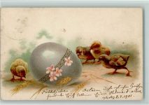 Großes Ei und Küken AK Osterei 1901
