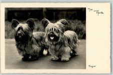Skye Terrier Max und Moritz AK Terrier 1932 Foto AK