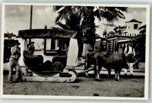 Madeira - Carro de Bois