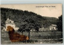 78194 W7717 Immendingen 1916 Gebrauchsspuren Villa am Walde Feldpost