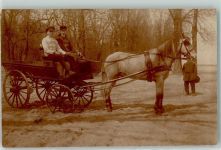 Einspänner Tiergespann Kutsche 1918 Privatfoto AK