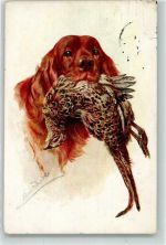Federwild im Maul Jagdhund 1914 Künstlerkarte