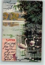 Sommer - Schwäne auf dem See AK Jahreszeit 1901