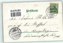W1000 Berlin Mitte mit Glimmer/Glitzerauflage Friedrich Wilhelm IV Passepartout Alpenflora Edelweiss Denkmal 1900 Lithographie / Künstlerkarte