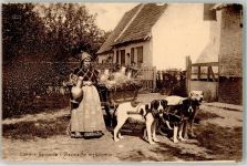 Laitiere flamande - Vlaamsche melkboerin Hundekarren