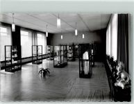 W3524 Immenhausen , Hess Glashütte Glasmuseum Glaskunst Glasbläser FOTO KEINE AK