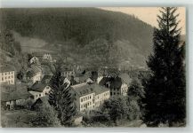 78098 W7740 Triberg im Schwarzwald 1907