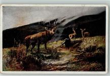 Serie 522-3 Hirsch AK BKW Künstlerkarte