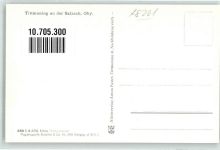 84529 W8261 Tittmoning Foto AK Fliegeraufnahme