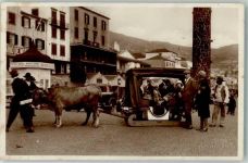 Madeira - Ochsenschlitten