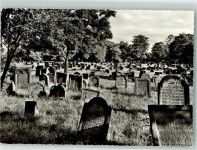W6520 Worms Ältester Judenfriedhof Europas Photobetrieb Curt Füller 172 Jüdischer Friedhof