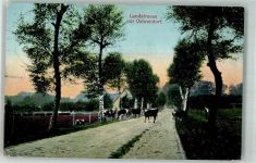 21224 W2107 Vahrendorf , Siedlung 1910 Foto AK Landstrasse