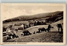 72532 W7423 Offenhausen , Kr Münsingen, Württ 1913 - Landesgestthof Bahnpost